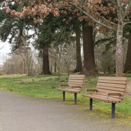 benches in a park area